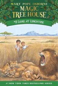 Magic Tree House #11