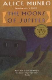 The Moons of Jupiter (Vintage Contemporaries)  木星的月亮  