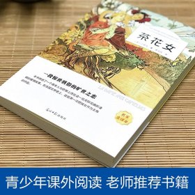 全译本茶花女书 小仲马 正版原版原著中文版 经典世界名著外国文学长篇小说 初中生高中生青少年课外阅读非必读书籍