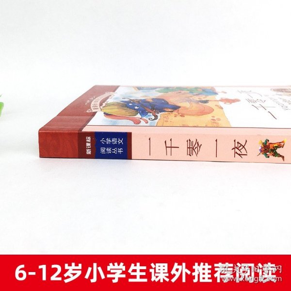 一千零一夜新课标小学语文阅读丛书注音版一二年级寒假暑假国学经典早教幼儿启蒙书带拼音 3-6年级儿童课外阅读书籍非必读