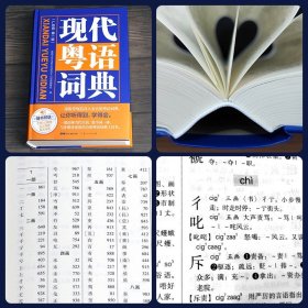 新版现代粤语词典教材教程广州话正音字典广东话零基础学习书