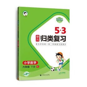 2024版5.3单元归类复习六年级下册  数学人教版RJ书籍