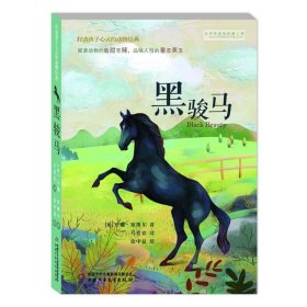 打动孩子心灵的动物经典黑骏马 安娜 塞维尔6-12周岁小学生课外阅读书籍 中国少年儿童新闻出版总社