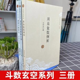 正版图书 斗数玄空系列套装3册 周易象数例解 紫微斗数讲义星曜性质安星法及推断实例 王亭之 陆斌兆著 复旦大学出版社 正版图书藉