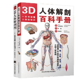 3D人体解剖图