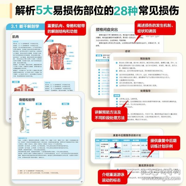 游泳运动损伤的预防与康复训练