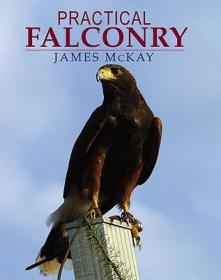 PracticalFalconry