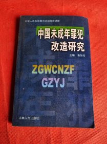 中国未成年罪犯改造研究