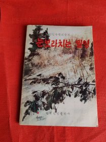 눈보라치는 밀영 风雪中的密营 朝鲜文 作者  蔡光春 签名本 签赠本