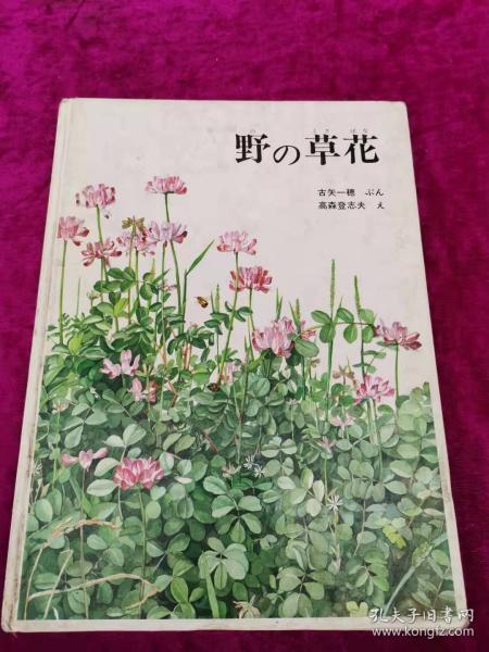 野の草花 日文原版 绘画本 精装   16开