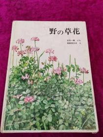 野の草花 日文原版 绘画本 精装   16开