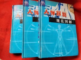 人體解剖規(guī)范圖解 第1.2.3冊(cè) 有水漬 三冊(cè)合售