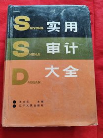 實(shí)用審計(jì)大全