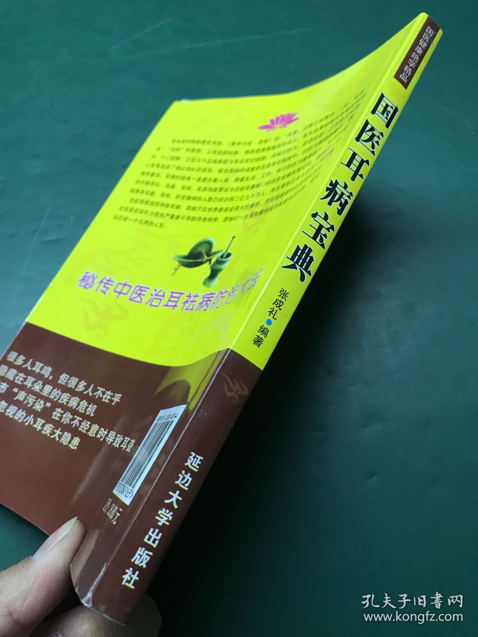 国医耳病宝典