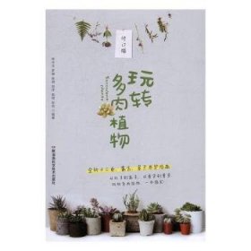 全新正版图书 玩转多肉植物林中正湖南科学技术出版社9787535790972 多浆植物观赏园艺多肉植物爱好者种植爱好者园艺从