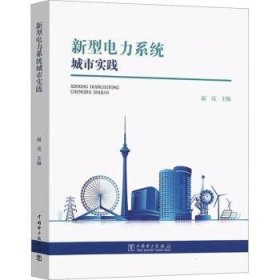 全新正版图书 新型电力系统城市实践赵亮中国电力出版社9787519887063