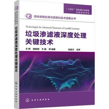 固体废物处理与资源化技术进展丛书--垃圾渗滤液深度处理关键技术