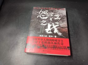 怒江之战（全集新版）