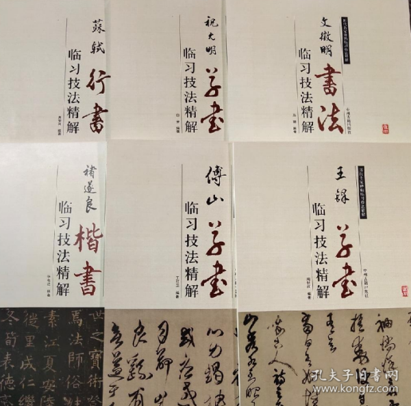 历代碑帖临习精解（颜真卿，王羲之，欧阳询，柳公权，董其昌，褚遂良，怀素，赵孟頫等 箱装共31册）