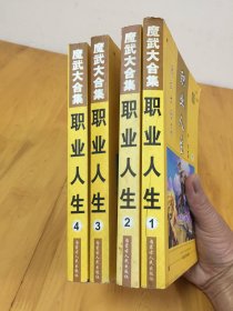 魔武大合集；职业人生1-4全