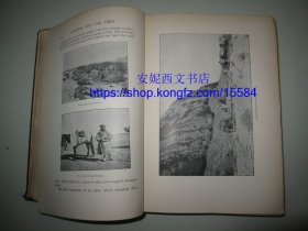 1903年英文《中亚和西藏》----两卷全， 斯文·赫定中亚考察，发现楼兰古城的记录及照片，填补地图上西藏的大片空白，300余幅照片和插图，4副折叠地图，书顶刷金 Central Asia and Tibet