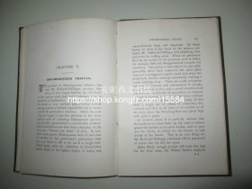 1891年英文《书摊觅书》---- 伦敦古籍书摊寻书的黄金日子，西方经典书话作品，藏书人必读  Round And About The Book-Stalls A Guide For Book-Hunter