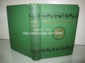 1876年英文《环游世界》---- 日本，上海，北京，广东，爪哇国，新德里，巴黎，珍贵历史照片，大清护照复制件等