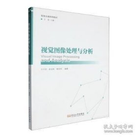 视觉图像处理与分析