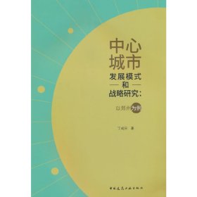 中心城市发展模式和战略研究：以郑州为例