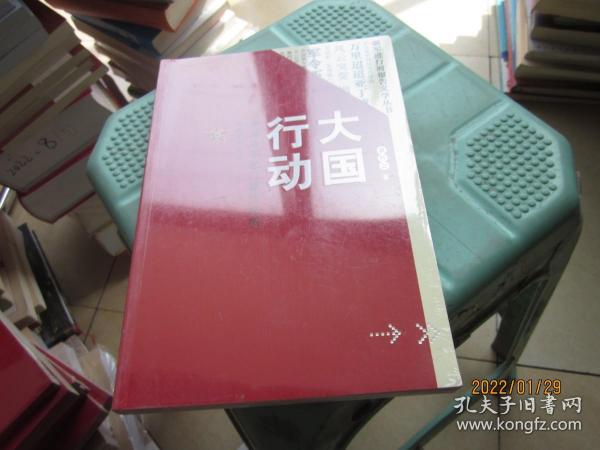 大国行动：中国海军也门撤侨纪实/强军进行时报告文学丛书