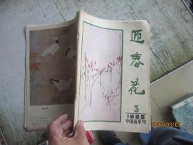 迎春花1988年3月