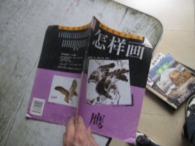 怎样画鹰