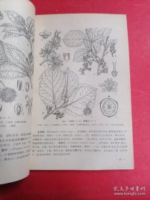 《种子植物图谱》吴国芳1989高等教育16开301页：密切结合植物学教学编绘，共有300幅图，包括常见种子植物451种，隶属于147科。种类丰富，图文并茂，所列举种类以各校教学中的代表植物为主，密切结合课堂教学和实验。各种植物除营养体的形态图外，绘制了花、果实和种子的解剖构造图，还有简要形态特征描述。可供高等院校植物学师生参考，对农、林、医药院校及有关科技工作者，中学教师也有相当的实用价值。