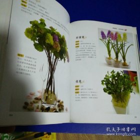 《家庭花艺百科-养花插花一本通(彩)》张秀新2012青岛16开319页：包括家庭养花、四季养花要点、病虫害防治，家庭插花、花束花篮插法，含鲜花插花作品41款、人造花括花作品37款、慰问花束作品23款、情人花束作品23款。这本爱花人的掌中宝，传统花卉、球根花卉、观叶花卉、草本花卉带您进入花花世界；节日花束、慰问花束、情人花束、新娘捧花款款传情达意；家庭插花、商务插花、庆典花篮让高雅艺术彰显非凡品位！