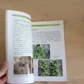 《草莓疑难杂症图片对照诊断与处方(彩)》孙茜2008农业32开80页：包括草莓病害的诊断、草莓病害典型与非典型及疑似病症的诊断与防治、草莓生理性病害的诊断与防治、草莓药害的诊断与防治、草莓肥害的诊断与救治、草莓各类易混淆病害图片对照比较识别、草莓虫害与防治、不同栽培季节草莓一生病害防治大处方、草莓病害年度防治历、草莓缺素症补救措施一览表十大部分丰富内容。可供草莓种植者、生产管理人员等参考使用。