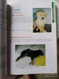 《犬猫疾病类症鉴别诊疗彩色图谱》胡延春2010中国农业16开311页：包括以消化系统、呼吸系统、泌尿系统、生殖系统、循环障碍、皮肤损伤、内分泌和代谢紊乱、眼部病变、跛行、繁殖障碍、神经、局部肿胀、贫血、高热等类症为主的疾病，以及中毒性疾病鉴别诊断和犬猫疾病的综合防制及药物选择等。描述每类疾病的病因及危害、类症鉴别、综合防制措施；对临床常见疾病，还介绍病因病原、症状、病理变化、诊断、鉴别诊断及治疗。