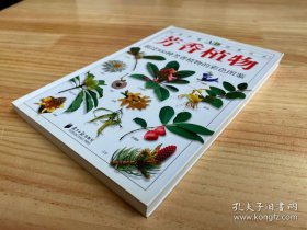 《芳香植物-超过300种芳香植物的彩色图鉴》朱亮锋2009南方日报32开206页：对每一品种均有全面、简洁的文字论述，介绍其别名、拉丁名、科属、形态、分布、芳香化学成分及其在生活中的应用。近800张色彩绚丽图谱，将各种芳香植物特征清晰展现，让读者既能全面植物的基础知识。又能轻松掌握简易有效的鉴别技巧。权威的文字论述、精美清晰的图片及系统化的编排体例，使本书成为了解鉴别芳香植物的最为全面精确工具书。