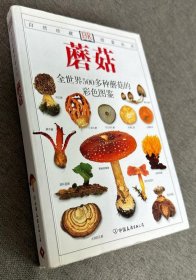 《蘑菇-全世界500多种蘑菇的彩色图鉴》[丹]莱瑟斯2008友谊32开303页：权威性内容、清晰图片及系统编排，使本书成为较全面、精简，荠具有收藏价值的蘑菇的鉴赏工具书。书中收录世界上500多种蘑菇，配有2300多幅精美彩色照片，使读者能轻松掌握鉴别各种蘑菇的基本知识和方法。每一种蘑菇均有详细的论述，色彩绚丽的照片将每种蘑菇表现得栩栩如生，使其主要特点和显著特征跃然纸上。