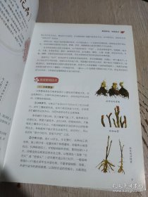 《家庭花艺百科-养花插花一本通(彩)》张秀新2012青岛16开319页：包括家庭养花、四季养花要点、病虫害防治，家庭插花、花束花篮插法，含鲜花插花作品41款、人造花括花作品37款、慰问花束作品23款、情人花束作品23款。这本爱花人的掌中宝，传统花卉、球根花卉、观叶花卉、草本花卉带您进入花花世界；节日花束、慰问花束、情人花束、新娘捧花款款传情达意；家庭插花、商务插花、庆典花篮让高雅艺术彰显非凡品位！