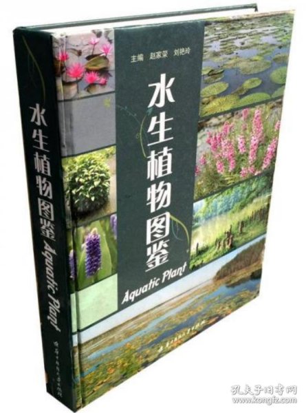 《水生植物图鉴(彩)》赵家荣2009华中科大16开320页：收录沉水植物、浮水植物、浮叶植物、挺水植物、湿生植物、沼生和部分荫湿生植物；各科编排顺序是根据恩格勒分类系统进行的，介绍水生植物74科204属560余种（包括58个外来种），附彩色照片1000余幅。可供从事水生植物研究、生产和经营管理及水生生态多样性研究、人工湿地景观设计与应用、水产养殖等等相关行业工作的人员，或供农林水院校师生教学使用。