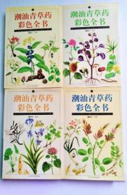 《潮汕青草药彩色全书1-4》潘鸿江2002汕头大学32开896页：本书全四册精选常见、常用亦具代表性的广东潮汕地区显效中草药400种，对其形态、性味、药理、功效、主治、验方、用量、禁忌等一律作了阐述。每种草药均配有彩色照片及彩图，充分鲜明地展示每一种草药的形态、特征和细节，还有针对不同草药从采集到辨析各方面的知识和技巧。功效覆盖临床各科常见病、多发病及某些疑难杂症，是一本非常实用的南方青草药药典。