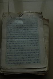 《一个国民党特务的自述》材料一沓（此人1927年考入北京大学，1928年参加国民党河北省党务训练所，1929年到河北省饶阳县作党务指导员）