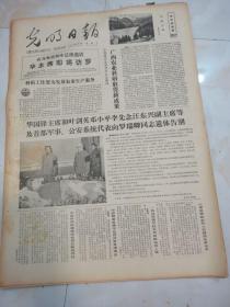 光明日报1978年7月12日  广西农业科研取得新成果