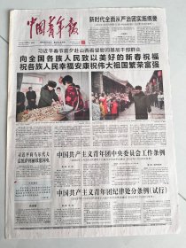 中国青年报2022年1月28日