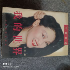 我的世界：王姬自述