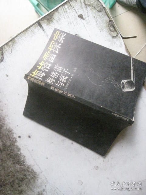 梅格雷探案 梅格雷与疯子