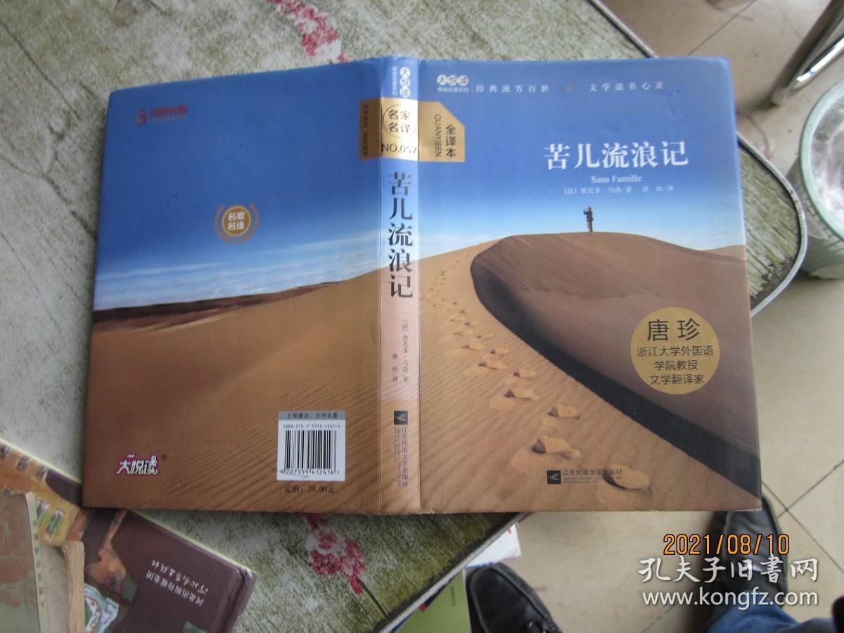 大悦读精装（全译本）名著阅读 苦儿流浪记