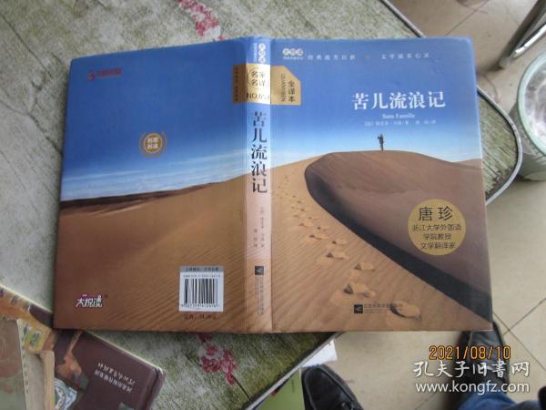 大悦读精装（全译本）名著阅读 苦儿流浪记