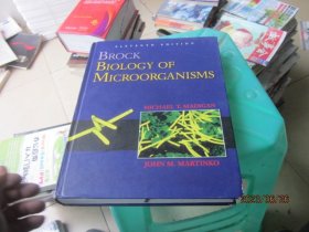 BROCK BIOLOCY OF  MICROORGANISMS