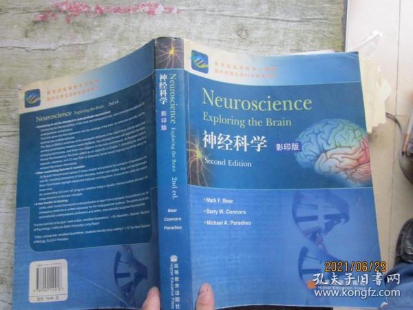 神经科学：第2版